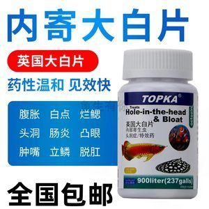 虎魚蒙眼用大白片可以嗎：虎魚蒙眼用大白片可以嗎虎魚蒙眼用大白片可以嗎