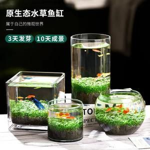 玻璃瓶魚缸diy：diy玻璃瓶魚缸的基本步驟