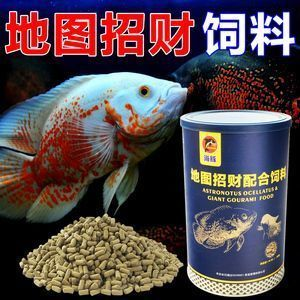龍魚(yú)只吃飼料vs祥龍魚(yú)場(chǎng)：龍魚(yú)只吃飼料與祥龍水族館的水族生態(tài)存在顯著區(qū)別