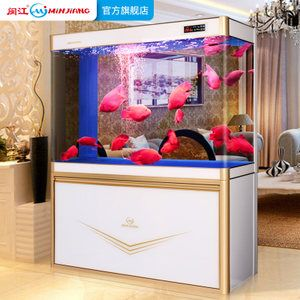 閩江魚缸和森森哪個好養：閩江魚缸和森森魚缸哪個好 閩江魚缸和森森哪個好養：閩江魚缸和森森魚缸哪個好 森森魚缸