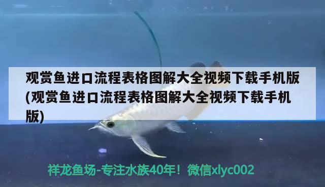 豬鼻龜用什么缸養(yǎng)好看圖片(家里魚缸養(yǎng)豬鼻子龜好嗎)