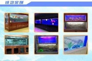 森森水族公司