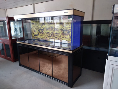 廈門賣魚缸的地方（廈門賣魚缸的地方在哪里）