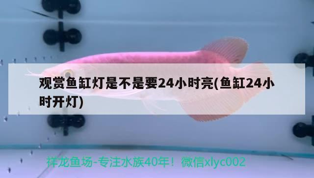 北京振宇新世界水族店