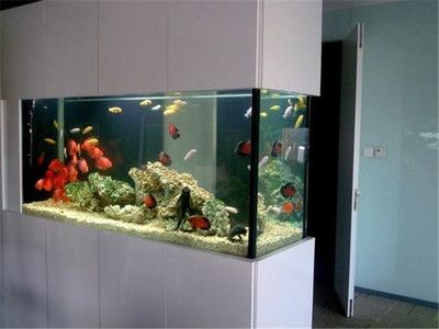 定做的魚缸為什么比成品缸好：定做魚缸的優勢
