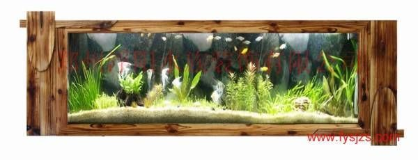 草缸改魚缸：草缸改魚缸的步驟
