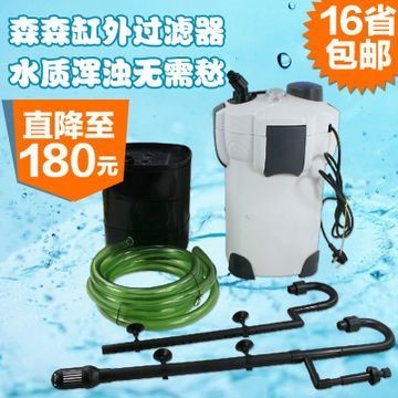 新到家的小虎魚 森森老款魚缸上水口管件松動怎么辦 森森魚缸 森森老款魚缸上水口管件松動怎么辦 森森老款魚缸上水口管件松動怎么辦 森森魚缸