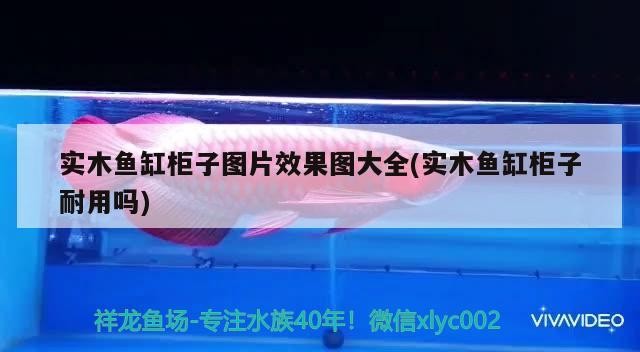 實木魚缸柜子圖片效果圖大全(實木魚缸柜子耐用嗎)
