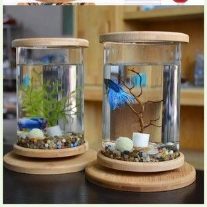斗魚缸造景 好不好看