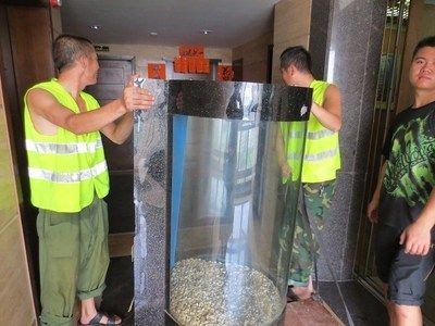 搬家公司能搬魚缸嗎視頻 魚缸百科 第1張 搬家公司能搬魚缸嗎視頻 搬家公司能搬魚缸嗎視頻 魚缸百科 第1張