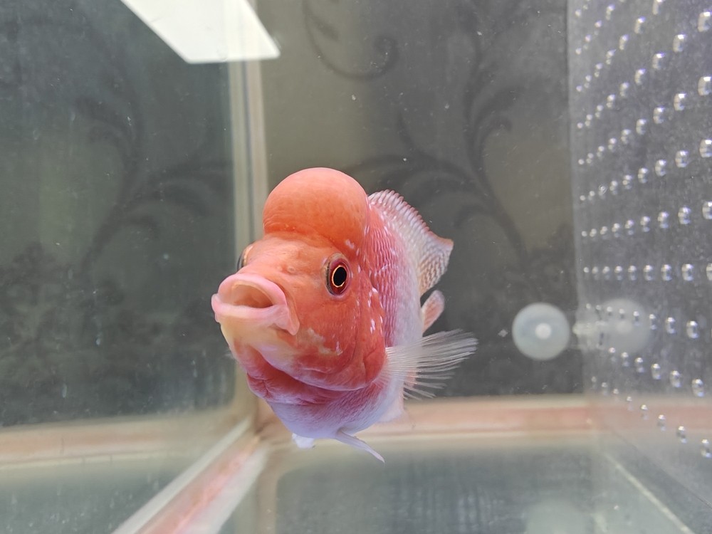 一天一個樣
