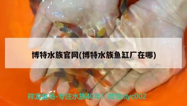博特水族官網(博特水族魚缸廠在哪)