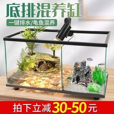 打造生態魚缸：生態魚缸的構成與功能