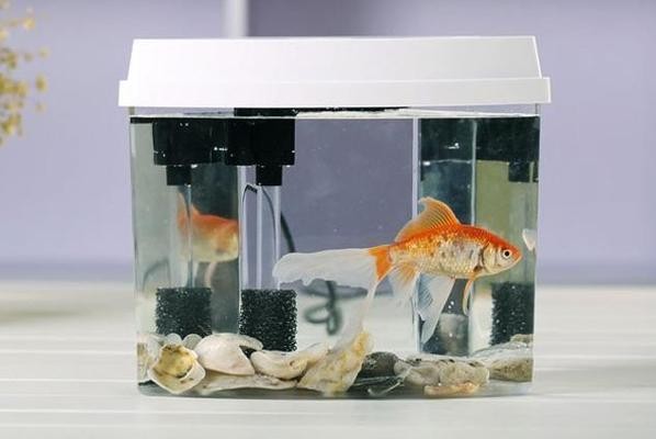 十大國產知名品牌魚缸 十大國產知名品牌魚缸 龍魚百科 第2張