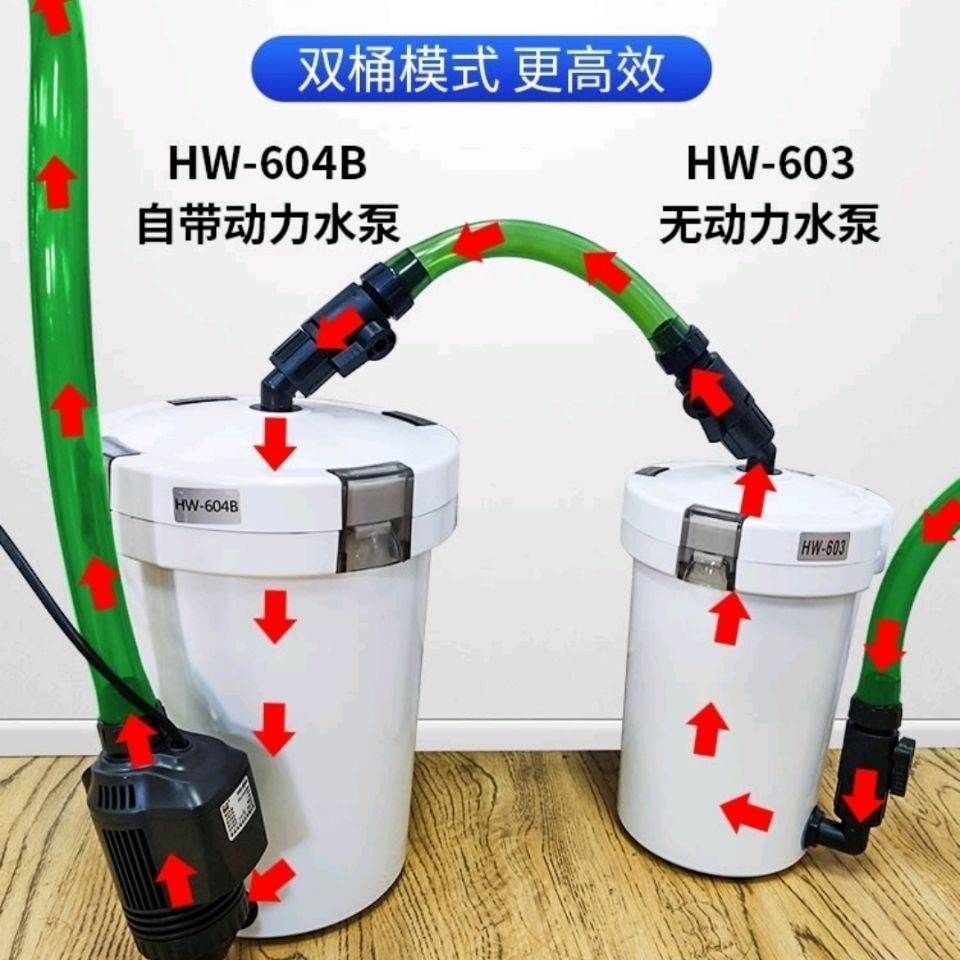 森森604