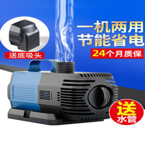 魚缸除綠藻用什么魚（魚缸除綠藻用什么魚最好）