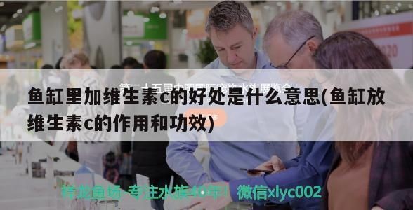 龍魚魚缸換水用放維c嗎vs祥龍魚場：維生素c對龍魚健康的影響