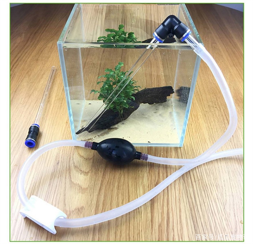 臨翔區(qū)漁濤水族店