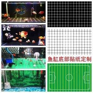 大型魚缸底部鋪什么好:大型魚缸底部鋪料的優缺點 魚缸百科 第4張 大型魚缸底部鋪什么好:大型魚缸底部鋪料的優缺點 大型魚缸底部鋪什么好:大型魚缸底部鋪料的優缺點 魚缸百科 第4張