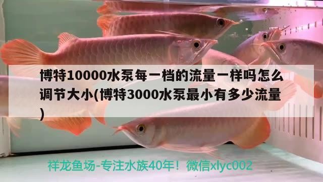 博特10000水泵每一檔的流量一樣嗎怎么調節大小(博特3000水泵最小有多少流量)