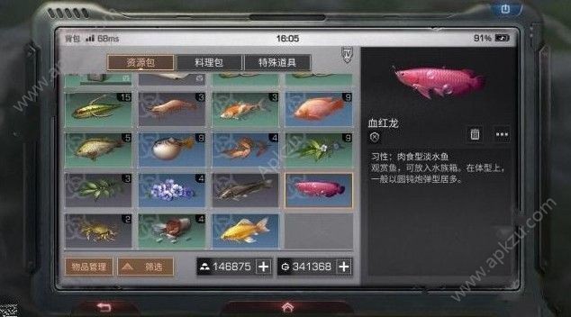 明日之后怎么釣血紅龍魚(yú)技巧：《明日之后》血紅龍魚(yú)釣獲概率解析 明日之后怎么釣血紅龍魚(yú)技巧：《明日之后》血紅龍魚(yú)釣獲概率解析 紅龍魚(yú)百科 第5張