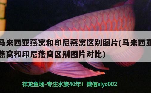 <strong><mark>威海</mark></strong>哪里有賣魚缸的市場啊電話（<strong><mark>威海</mark></strong>市裝飾城）