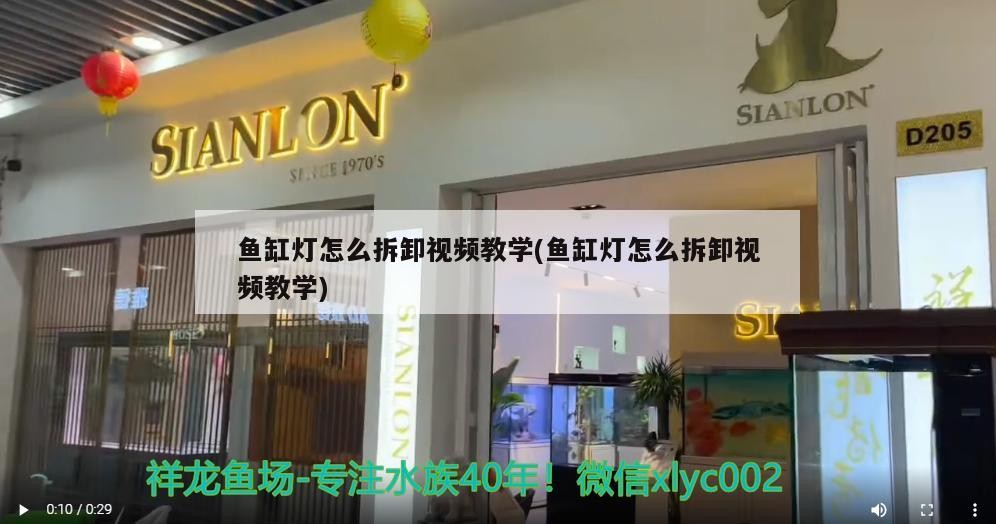 威海哪里有賣(mài)魚(yú)缸的市場(chǎng)啊電話（威海市裝飾城）