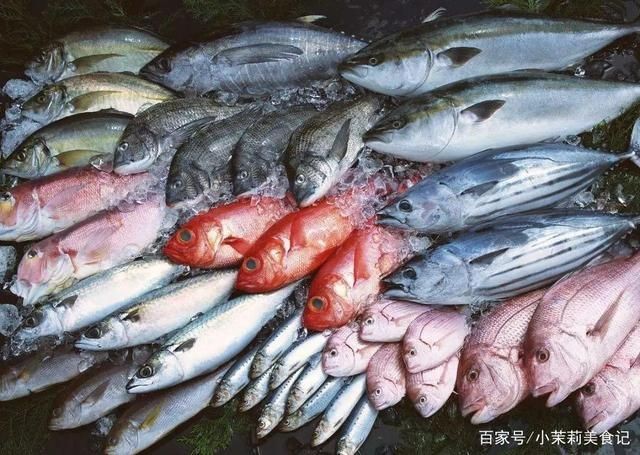 刀魚與其他魚類營(yíng)養(yǎng)比較，刀魚與其他常見魚類在營(yíng)養(yǎng)成分上有什么區(qū)別？