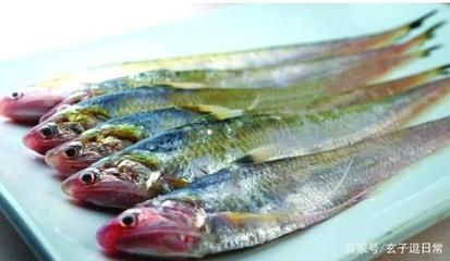 刀魚與其他魚類營養比較，刀魚與其他常見魚類在營養成分上有什么區別？