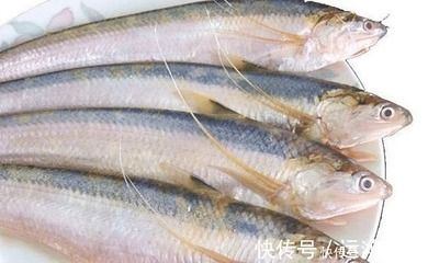 刀魚與其他魚類營養比較，刀魚與其他常見魚類在營養成分上有什么區別？