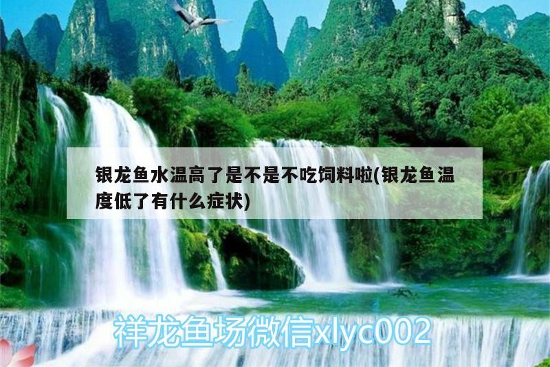 龍魚(yú)干蝦有營(yíng)養(yǎng)嗎 銀龍魚(yú)水溫高了是不是不吃飼料啦(銀龍魚(yú)溫度低了有什么癥狀) 銀龍魚(yú)百科 銀龍魚(yú)水溫高了是不是不吃飼料啦(銀龍魚(yú)溫度低了有什么癥狀) 銀龍魚(yú)水溫高了是不是不吃飼料啦(銀龍魚(yú)溫度低了有什么癥狀) 銀龍魚(yú)百科