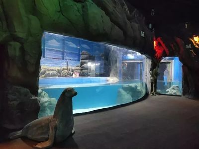 鄂爾多斯水族館vs祥龍魚場（內蒙古鄂爾多斯水族館和祥龍魚場和觀賞魚有什么關系）