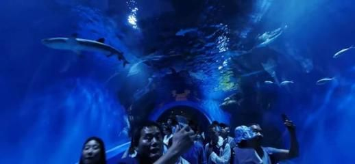 西寧水族館vs祥龍魚場（西寧水族館位于青海省西寧市主要經營觀賞魚、水族器材等產品）