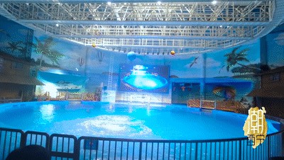 西寧水族館vs祥龍魚場（西寧水族館位于青海省西寧市主要經營觀賞魚、水族器材等產品）