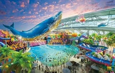 西寧水族館vs祥龍魚場（西寧水族館位于青海省西寧市主要經營觀賞魚、水族器材等產品）