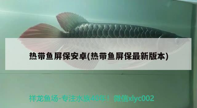 魚缸用增氧泵價格是多少:魚缸增氧機-xtrac增氧機-xtrac增氧機 熱帶魚屏保安卓(熱帶魚屏保最新版本) 金龍魚百科 熱帶魚屏保安卓(熱帶魚屏保最新版本) 熱帶魚屏保安卓(熱帶魚屏保最新版本) 金龍魚百科