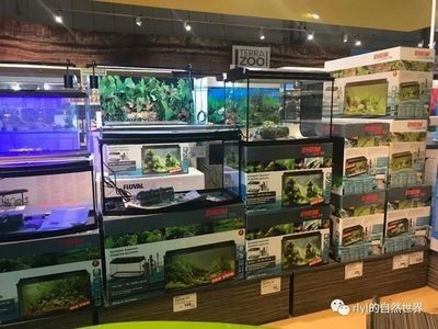 大港賣魚缸的地方有哪些店鋪：天<strong><mark>津市</mark></strong>濱海新區大港地區的寵物店、服務信息