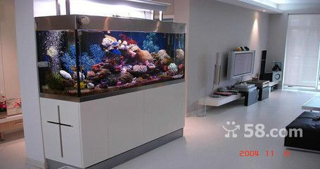 大港賣魚缸的地方有哪些店鋪：天津市濱海新區大港地區的寵物店、服務信息
