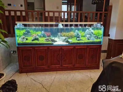 大港賣魚缸的地方有哪些店鋪：天津市濱海新區大港地區的寵物店、服務信息