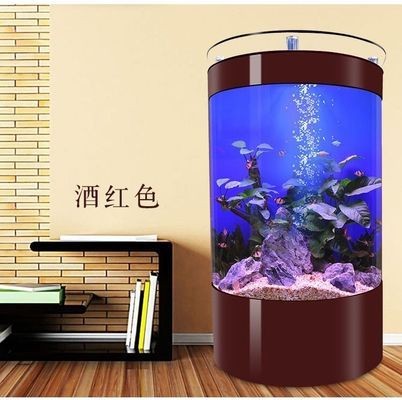 北京神州紅龍水族商貿有限公司（北京神州紅龍水族商貿有限公司怎么樣）