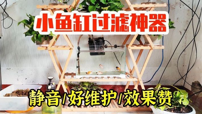魚缸黃水處理黑貓（魚缸黃水處理黑貓有用嗎）