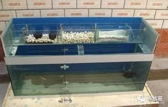 1.2米魚缸那種過濾方式最好：1.2米的魚缸過濾方式及其優缺點，選擇合適的過濾方式是非常重要的 1.2米魚缸那種過濾方式最好：1.2米的魚缸過濾方式及其優缺點，選擇合適的過濾方式是非常重要的 魚缸百科 第2張