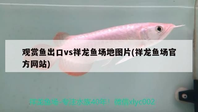 有哪些藥物可以用于龍魚爛身手術，龍魚爛身手術前后的藥物使用