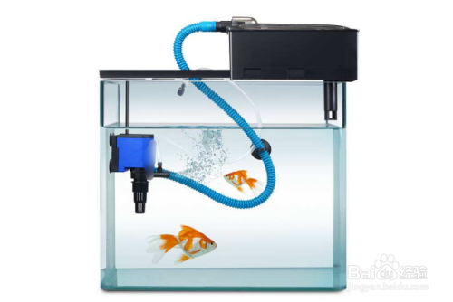如何讓魚缸里的水長期清澈
