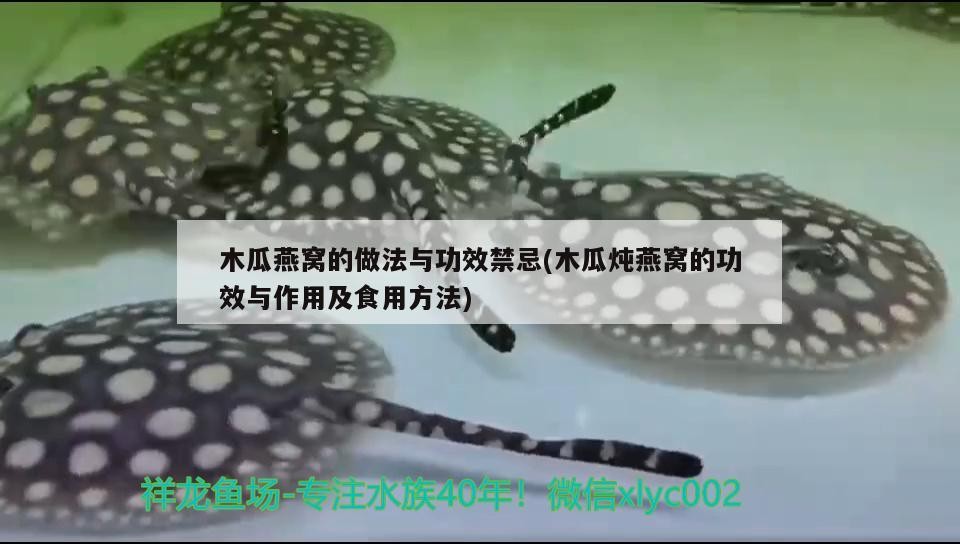 求助大家虎蒙眼的問題及治療