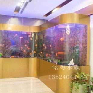 菏澤龍魚vs祥龍魚場(菏澤龍魚與祥龍魚場的區(qū)別) 全國水族館企業(yè)名錄 第5張 菏澤龍魚vs祥龍魚場(菏澤龍魚與祥龍魚場的區(qū)別) 菏澤龍魚vs祥龍魚場(菏澤龍魚與祥龍魚場的區(qū)別) 全國水族館企業(yè)名錄 第5張