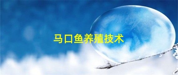 大魚缸工具魚怎么養：常見的大魚缸工具魚缸工具魚及其養護方法及其養護方法