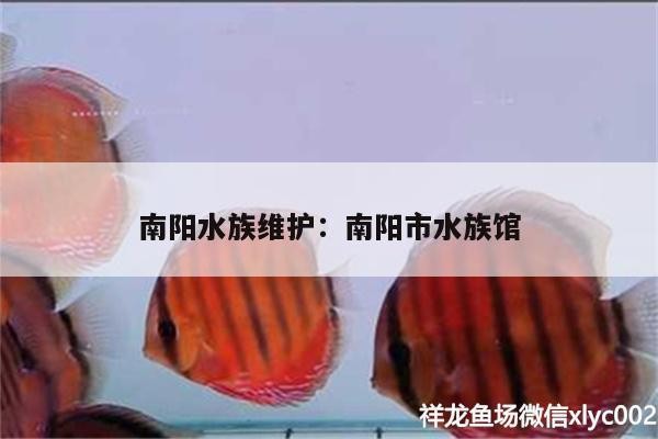 南陽水族維護(hù):南陽市水族館