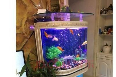 he380魚缸 改過濾：he380魚缸過濾材料