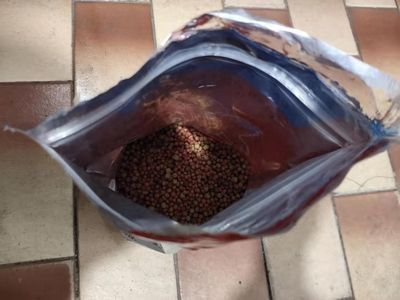 龍魚一般吃什么vs祥龍魚場：如何挑選優質龍魚 龍魚一般吃什么vs祥龍魚場：如何挑選優質龍魚 vs祥龍魚場 第5張